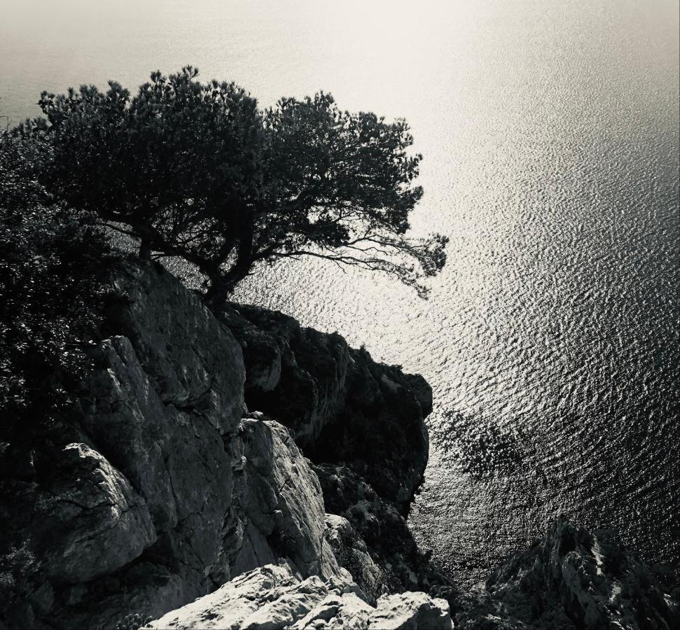 Azur Cassis Lägenhet Exteriör bild