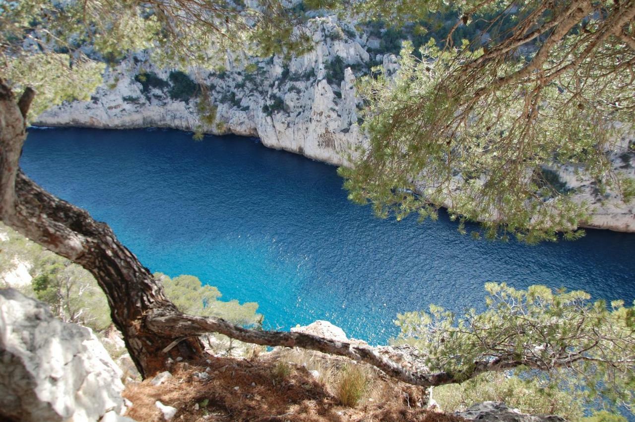 Azur Cassis Lägenhet Exteriör bild